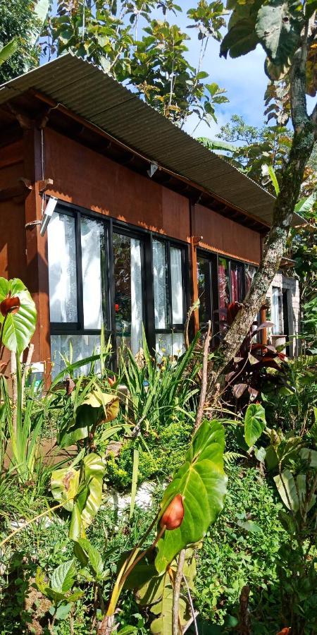 Jungleadventure Cabin Camping Bedugul (Bali) Exterior foto